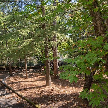 Ln Etna House-Villa Ad Uso Esclusivo Педара Екстериор снимка