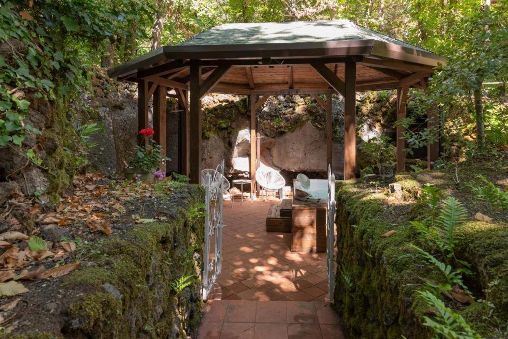 Ln Etna House-Villa Ad Uso Esclusivo Педара Екстериор снимка