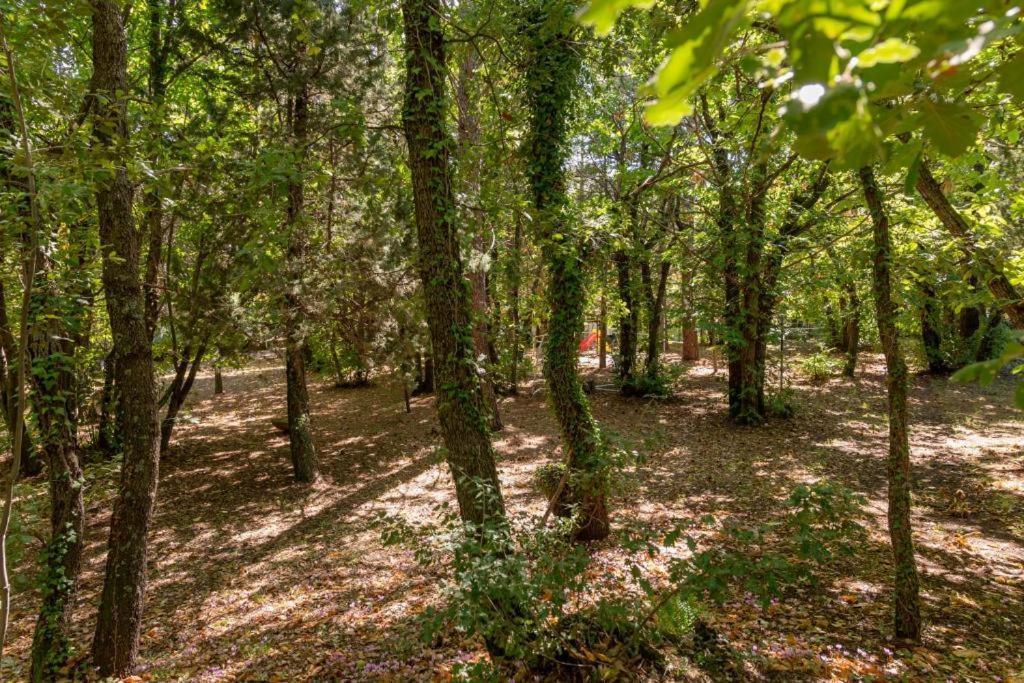 Ln Etna House-Villa Ad Uso Esclusivo Педара Екстериор снимка