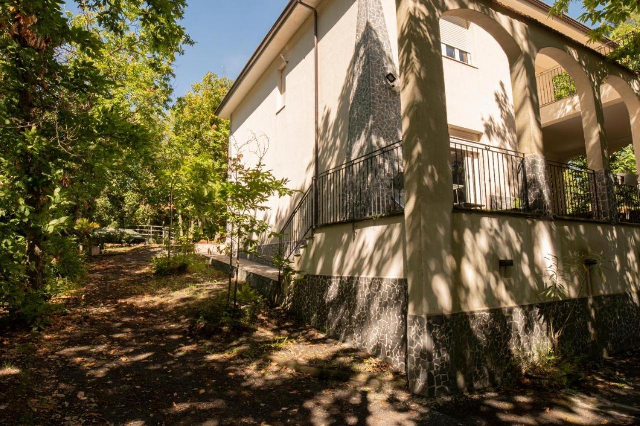 Ln Etna House-Villa Ad Uso Esclusivo Педара Екстериор снимка